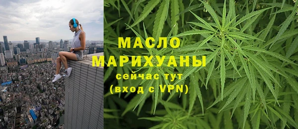 mdpv Бородино